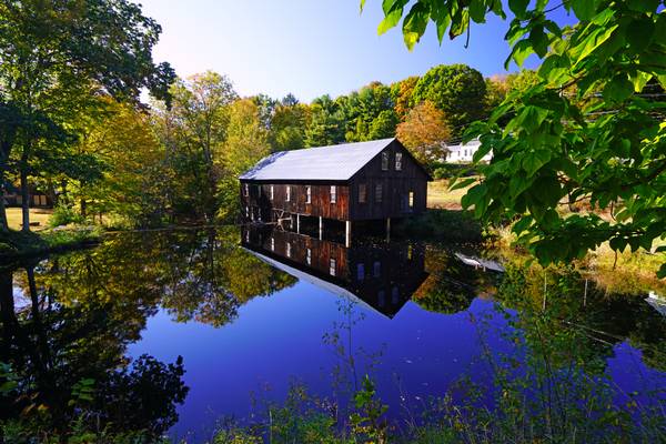 Amazing reflection in the pond, Leverett, Massachusetts