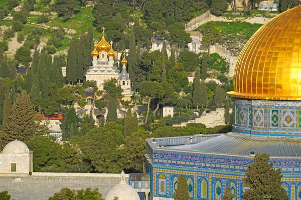 Gethsemane Gardens behind the Dome of the Rock, Jerusalem