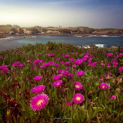 Ribadeo | Galicia | 2017