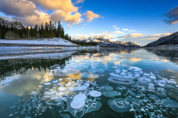 Ice bubbles at Abraham Lake
