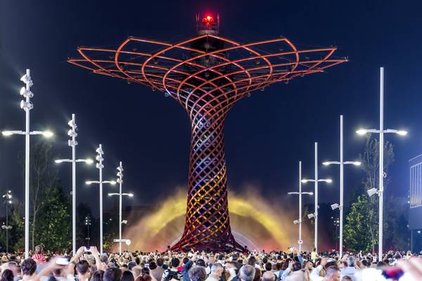 L'uomo e l'albero della vita (EXPO)