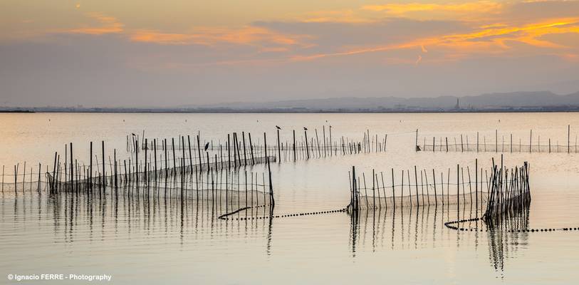 Nets in l'Albufera