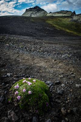 Iceland 2016 - Lakagígar
