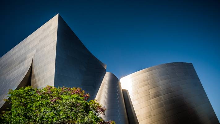 Disney concert hall - Los Angeles, United States - Architectural photography
