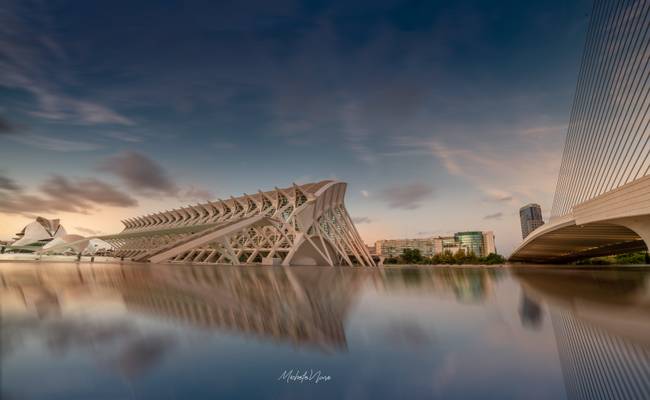 Ciutat de las  Artes y Ciencias