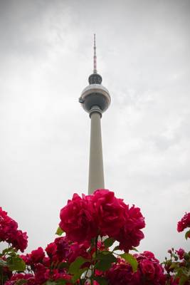 Torre televisiva (Berlino)