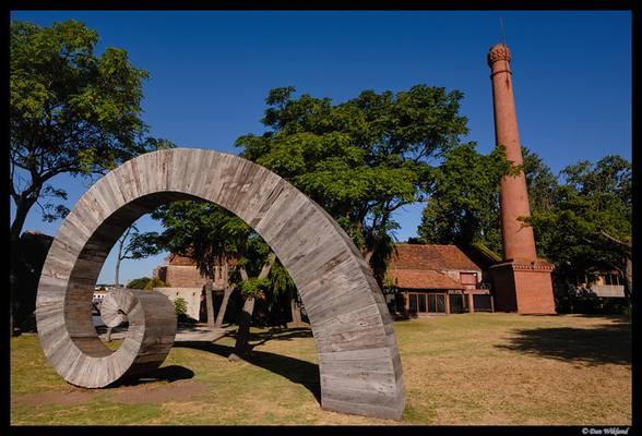 A swirl in the garden