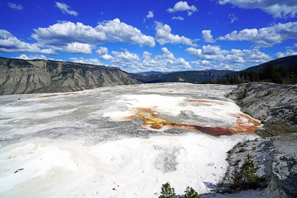 Lower Terraces Area of Mammoth Hot Springs, Yellowstone NP