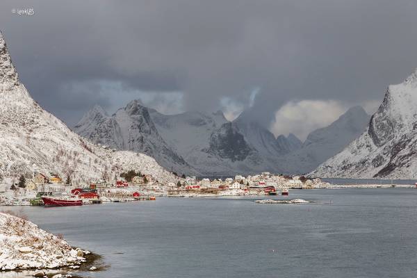 Reine