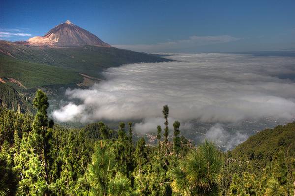 Teide Above Clouds