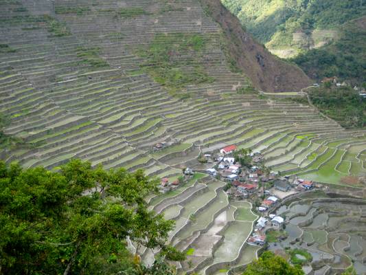 Rice terraces near Banaue, Batad, Cordillera, North Luzon, Philippines