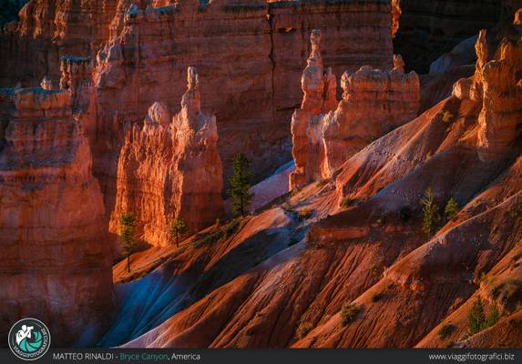 Le particolari guglie (hoodoos) del Bryce Canyon