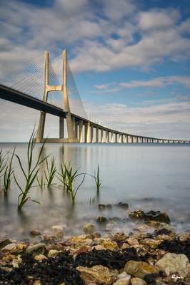 Pont Vasco De Gama