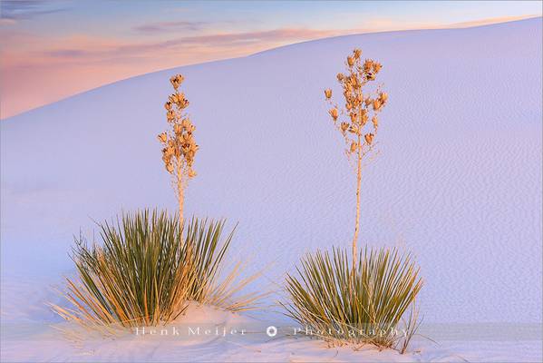Brothers in Arms - White Sands National Monument - New Mexico