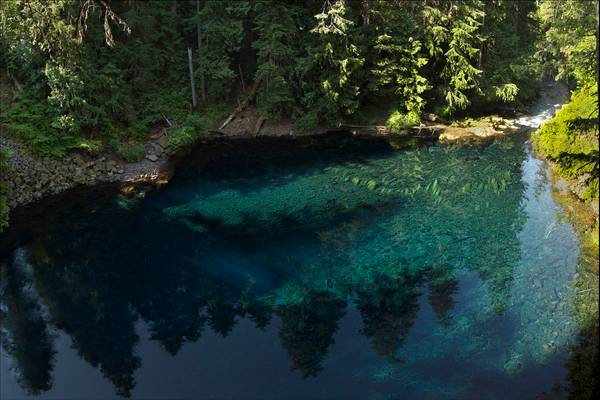 Tamolitch the Blue Pool, Oregon