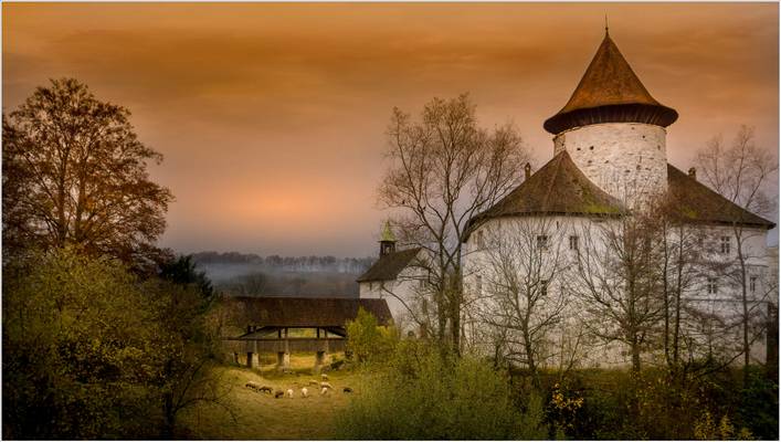 Zwingen Castle