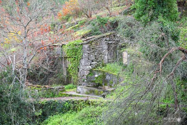 Ribeira Sacra