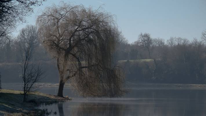 Etang de Fleix