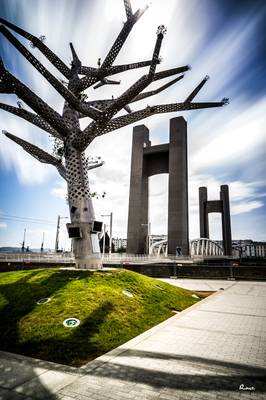 L'Arbre et le Pont