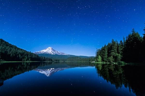 Moonlight Be Bright On This Night