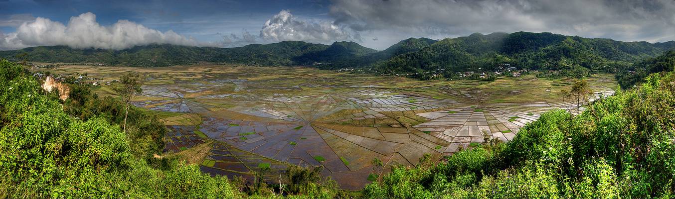 Spiderweb Rice Terrace Panorama
