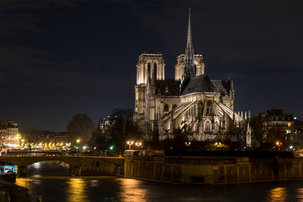 dos de Notre Dame