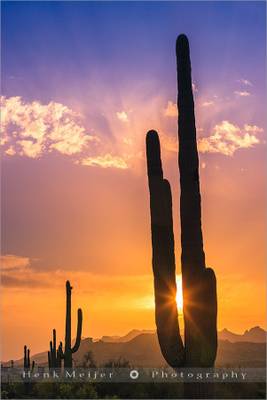 Lost Dutchman State Park - Arizona