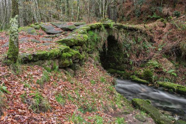 Ponte da Mazoca II