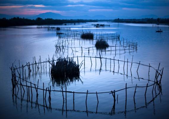 Fishing circles in Hoi An
