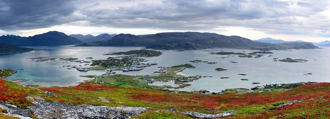 sommarøy panorama