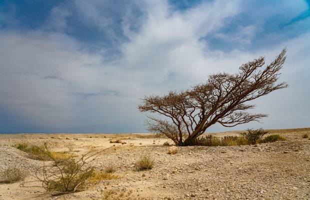 Israel, Totes Meer