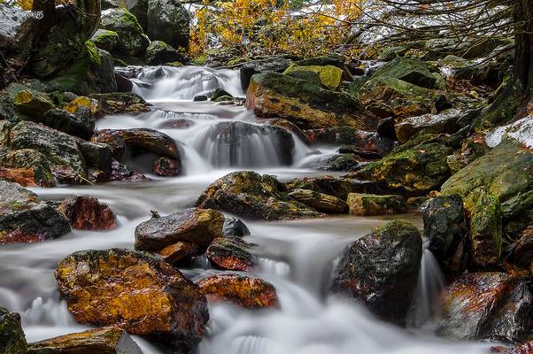 Bílá Opava - waterfalls