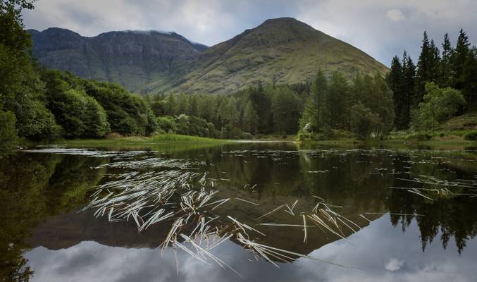 Clachaig, Glencoe