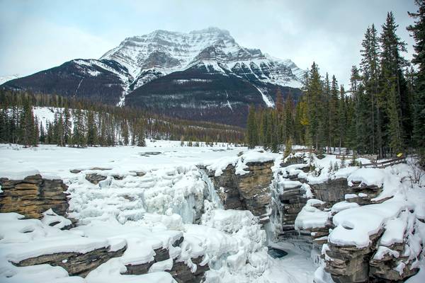 Frozen Athabasca Falls