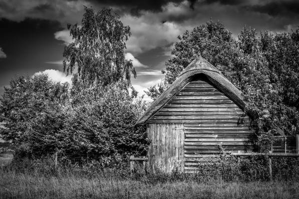 Thatched Shed