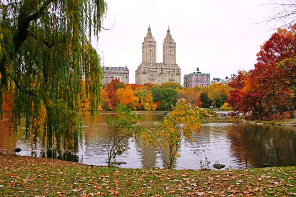 The Lake in autumn, Central Park, NYC
