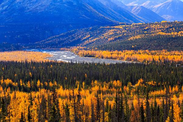 On Glenn Highway