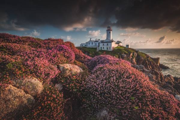 Blooming Lighthouse