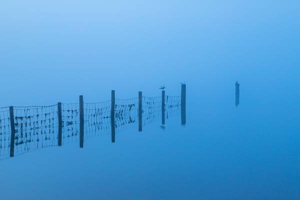 Sitting on a fence....