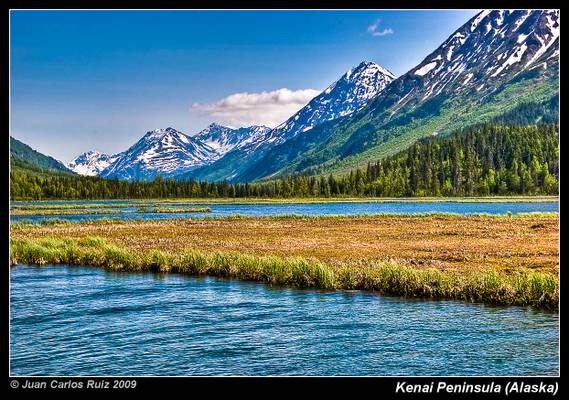 Kenai Peninsula (Alaska)