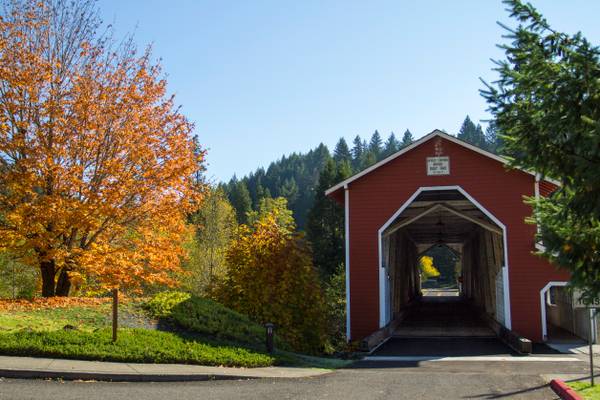 Office Covered Bridge, Oregon