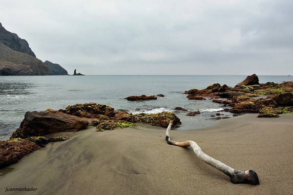 Arrecife Del Dedo III