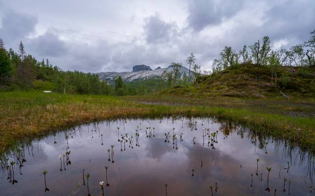 Sjunkhatten National Park, Norway