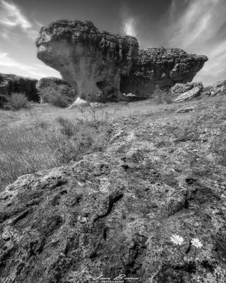 Las Tuerces | Villaescusa de la Torres | 2015