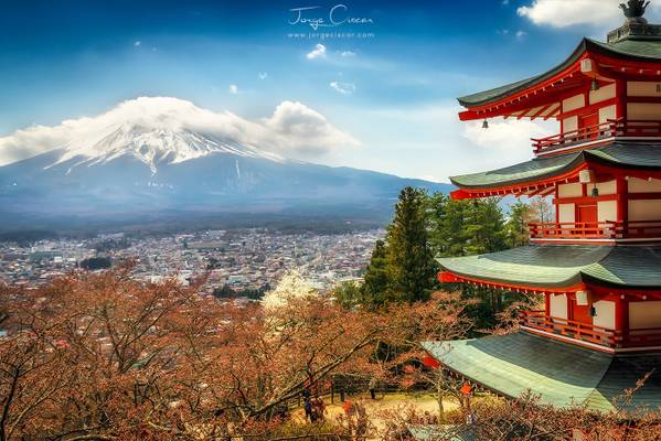 Chureito Pagoda & Mt. Fuji 2