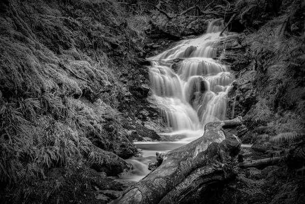 Skye Fall (BW)