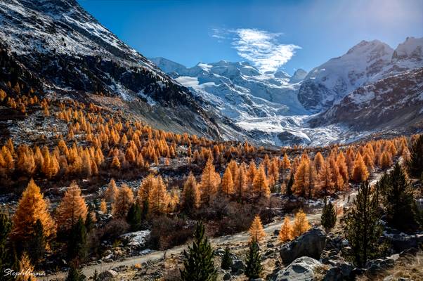 Morteratsch Gletscher