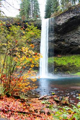 North Falls, Waterfalls, Oregon