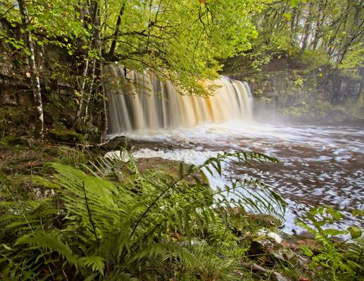 Sqwd Dwili Uchaf (Upper Gushing Falls)
