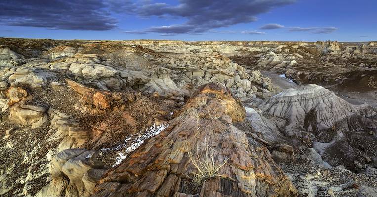 Log over Blue Mesa